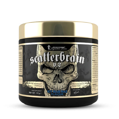 SCATTERBRAIN 2.0 KEVIN LEVRONE